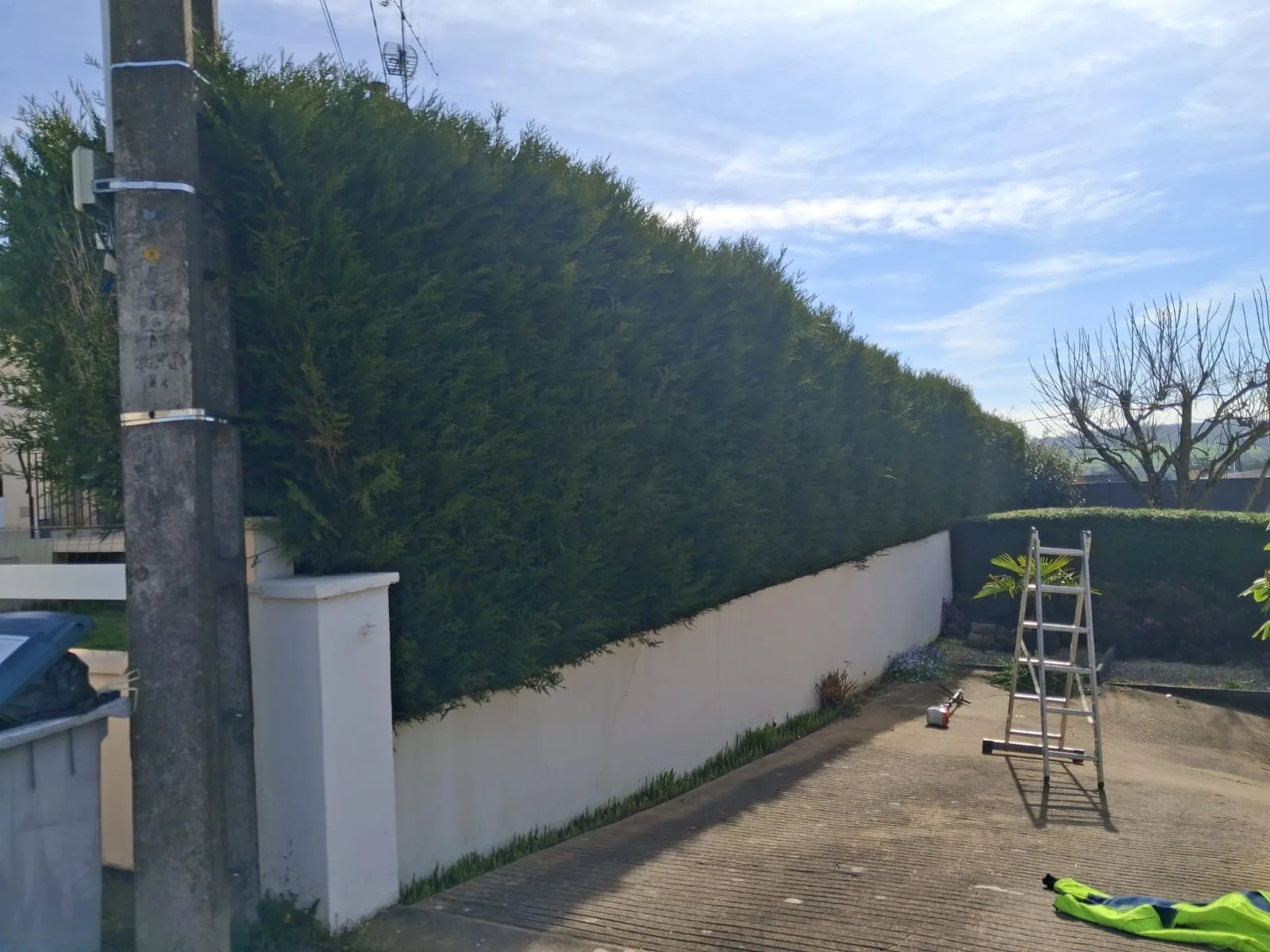 Haies avant entretien — JMW Entreprise Mayenne